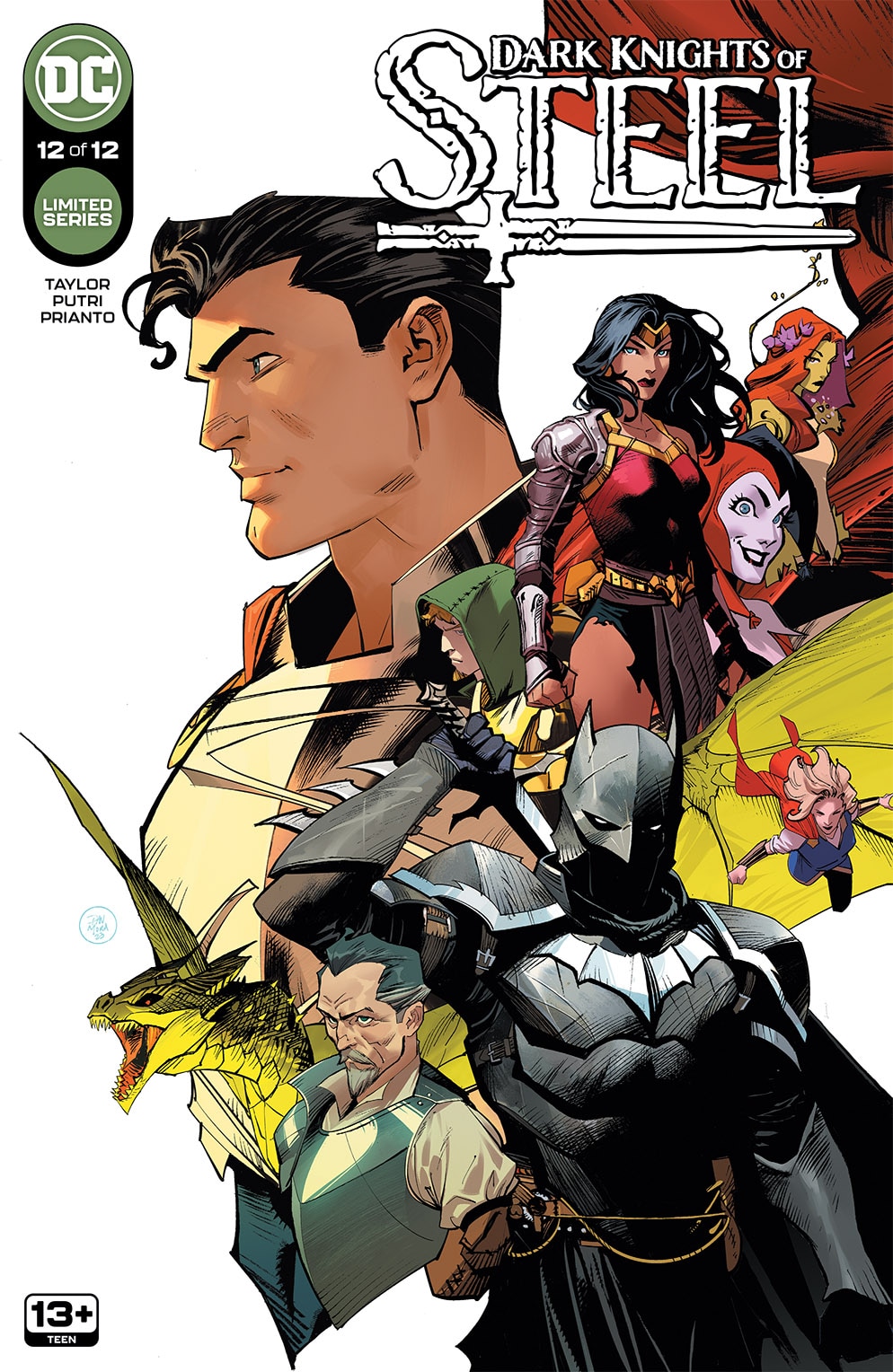 Dark Knights of Steel Vol. 2: Tayor, Tom, Putri, Yasmine, Various, Various:  9781779520791: : Books