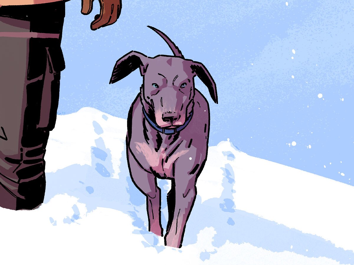 “Fallen Grayson” Begins in Nightwing #114!