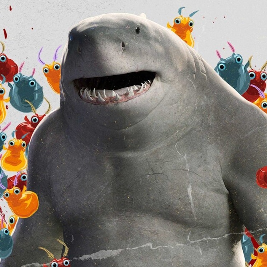 GET TO KNOW KING SHARK