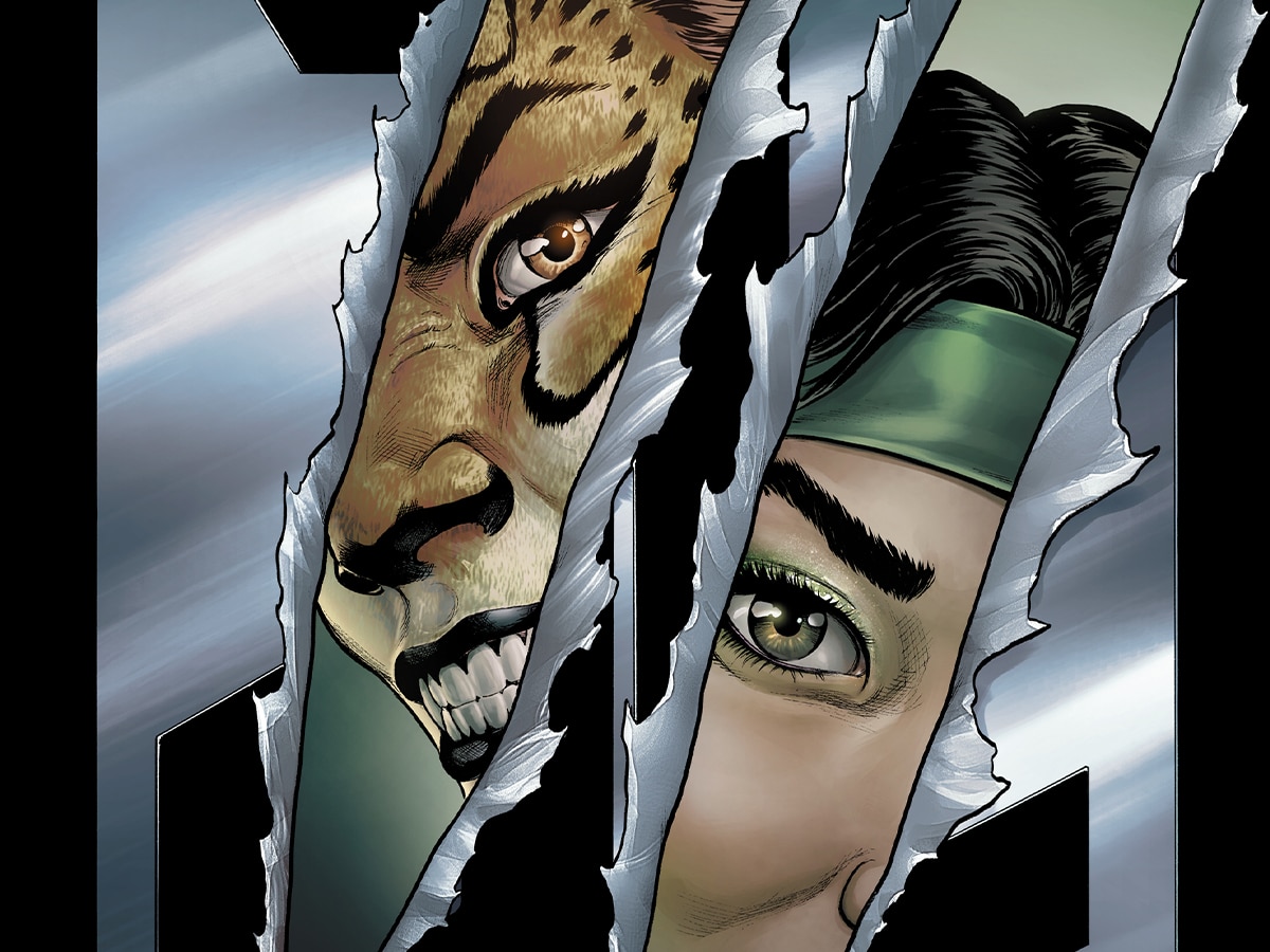 DC Announces Cheetah and Cheshire Rob the Justice League