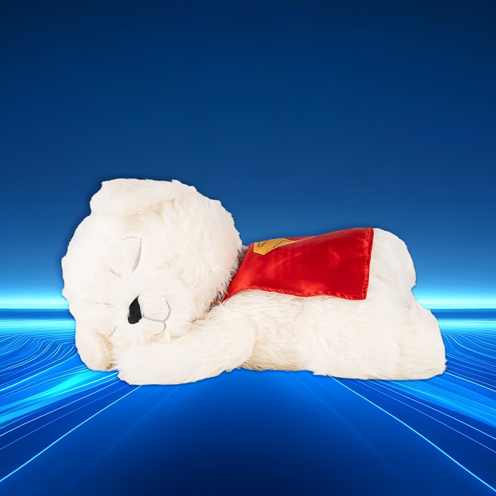 The Latest Products From DC Shop