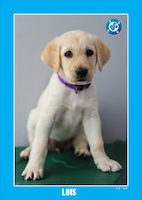Lois