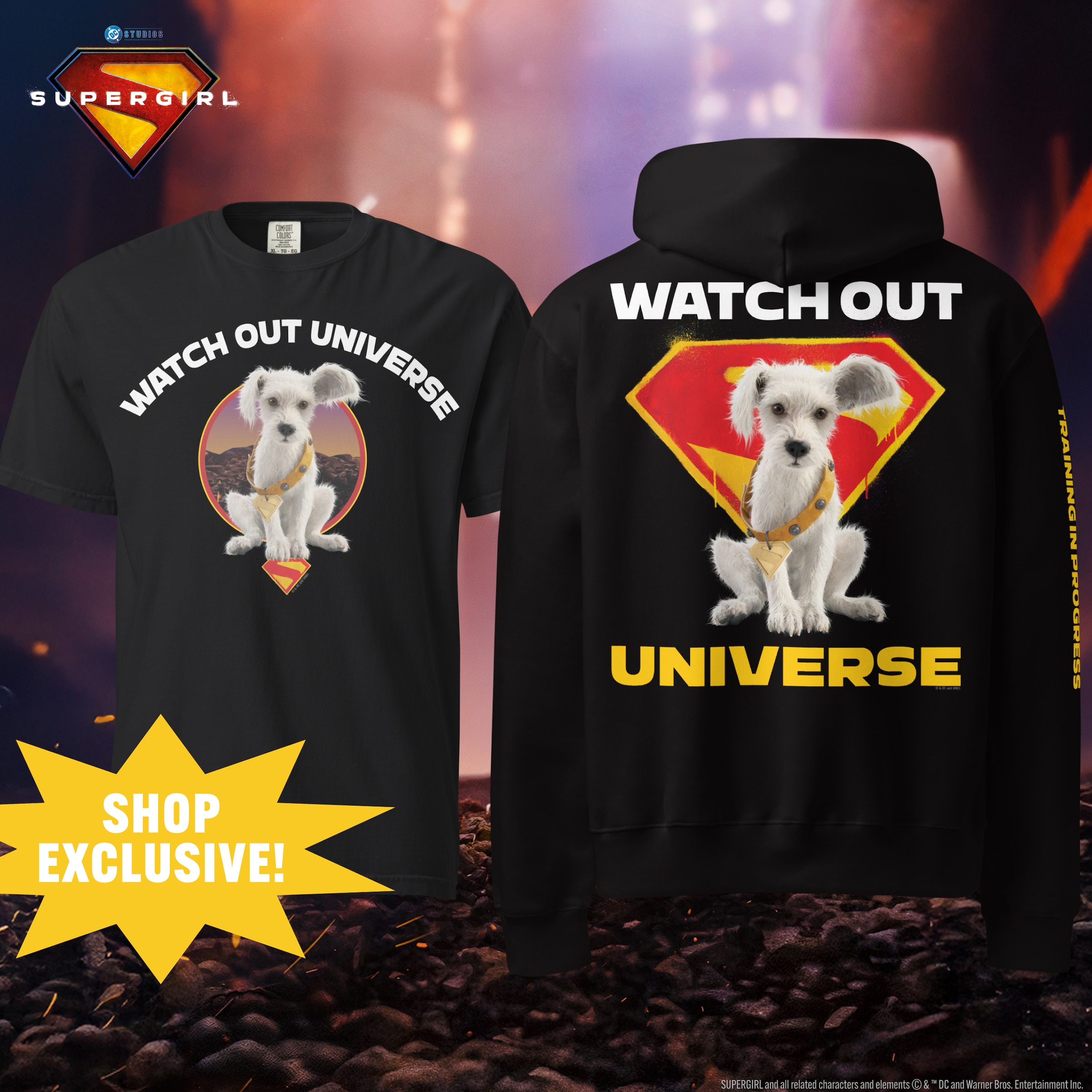 The Latest Products From DC Shop