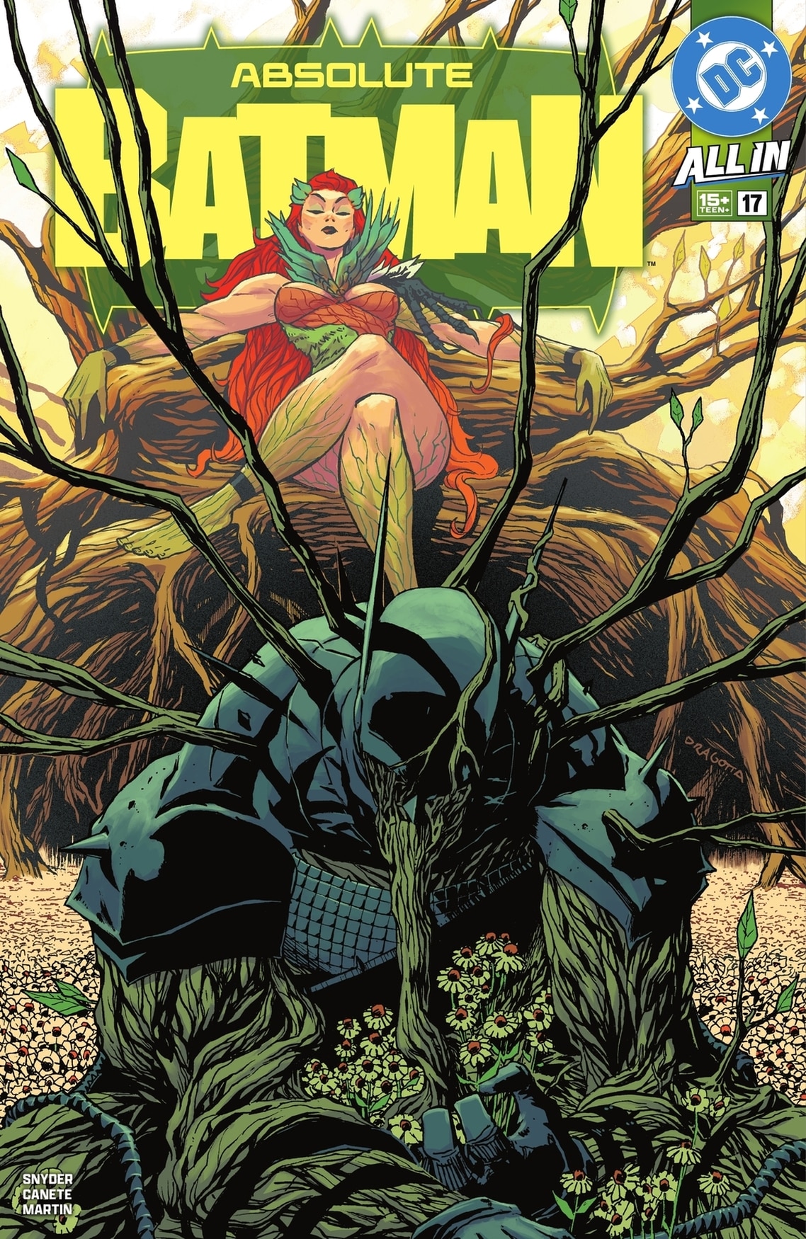 ABSOLUTE BATMAN #13 | DC