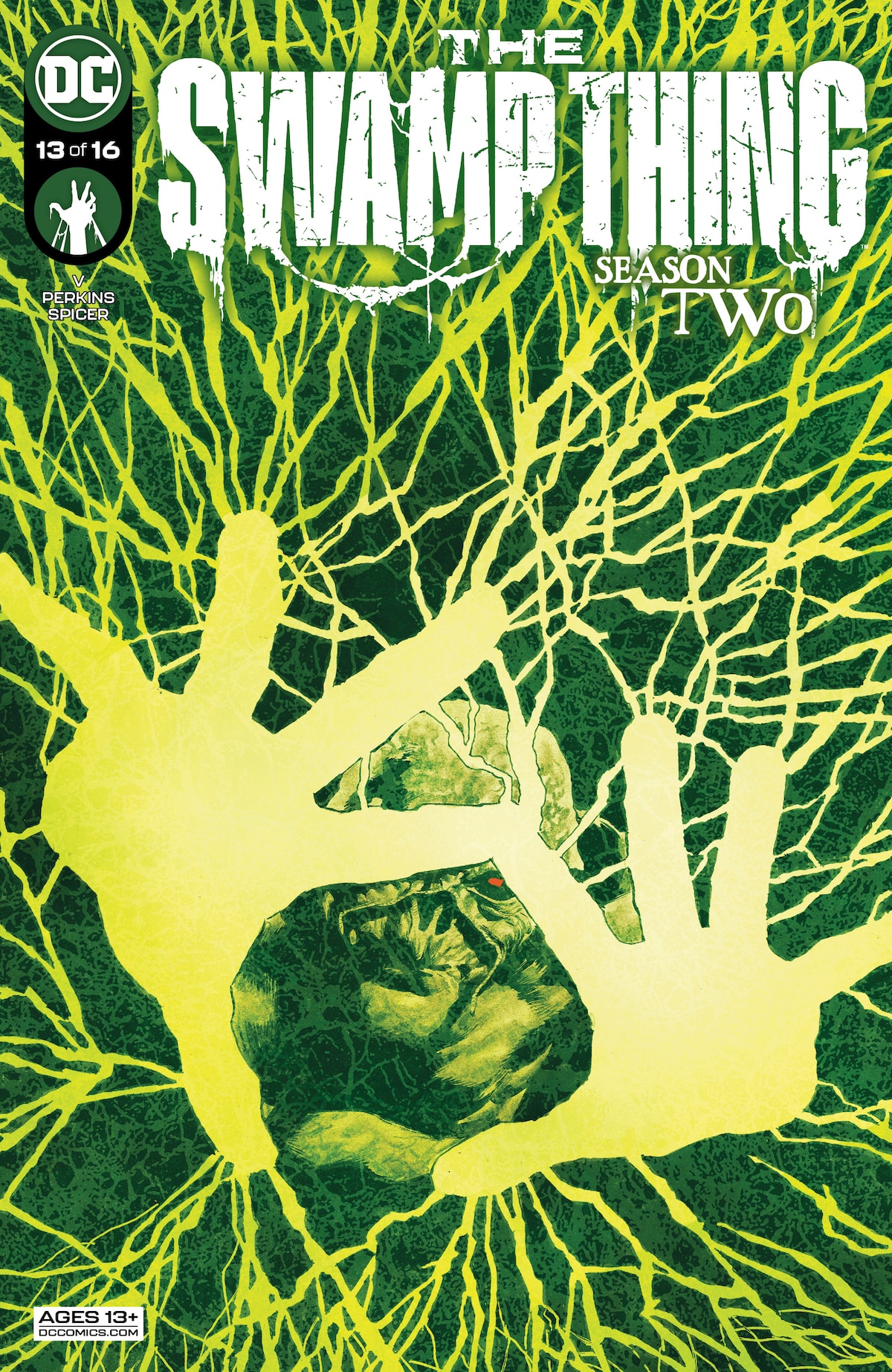 THE SWAMP THING #13
