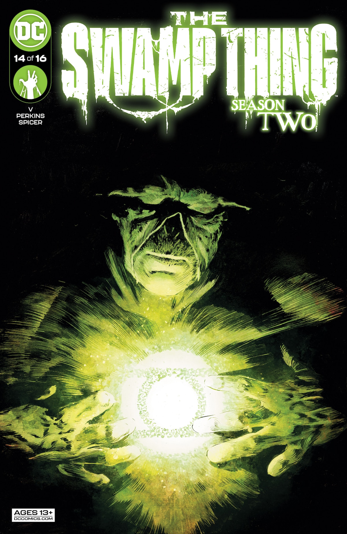 THE SWAMP THING #14