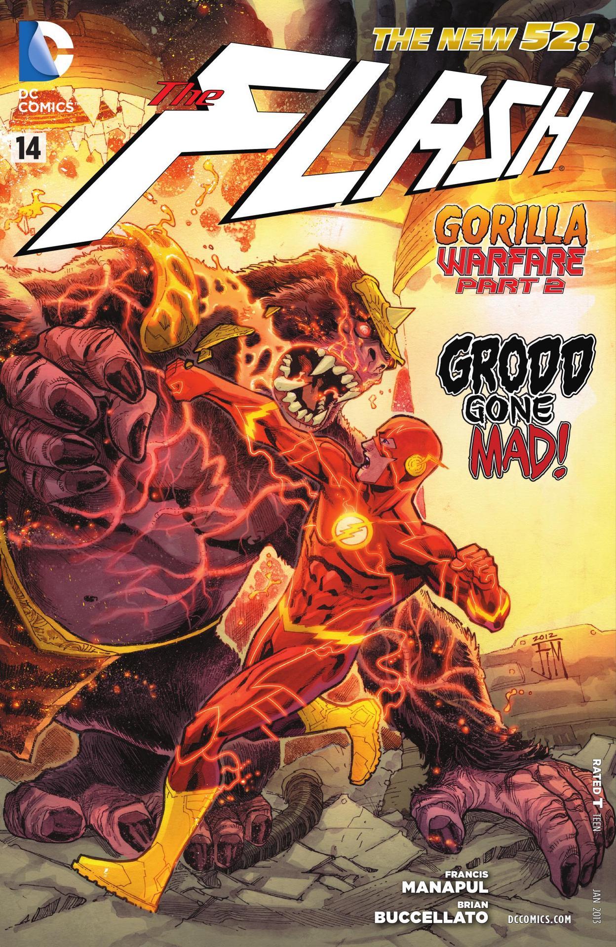 THE FLASH #14
