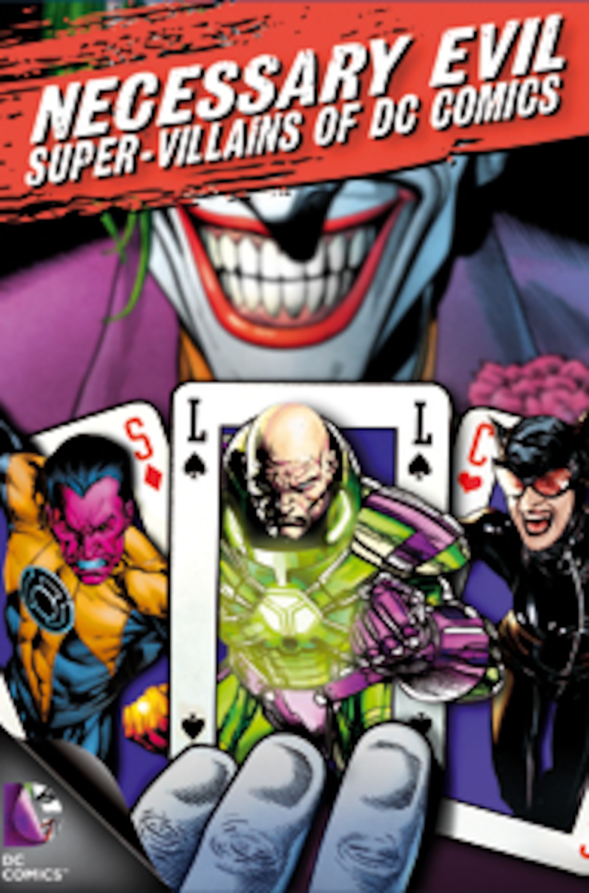 Necessary Evil: Super-Villains of DC Comics (2013)